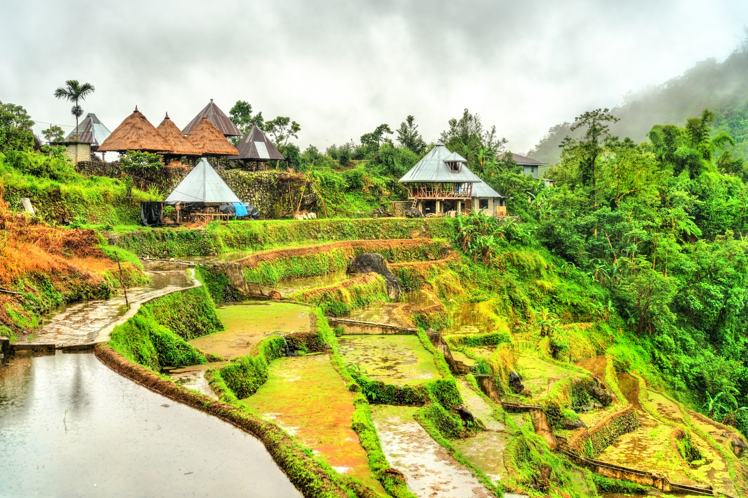 banaue (3).webp